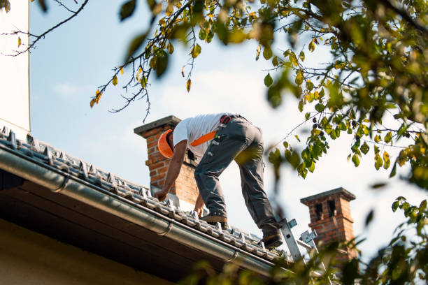 Best Roof Waterproofing Services  in Nicholson, GA