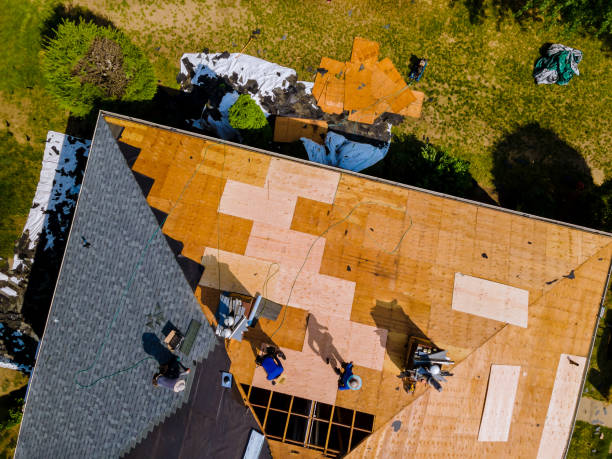 Best Metal Roofing Contractor  in Nicholson, GA