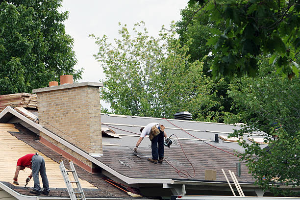 Best Roof Maintenance Services  in Nicholson, GA