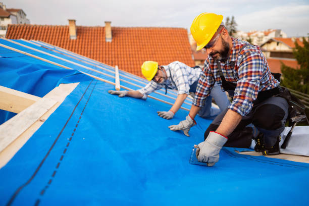 Best Roof Restoration Services  in Nicholson, GA