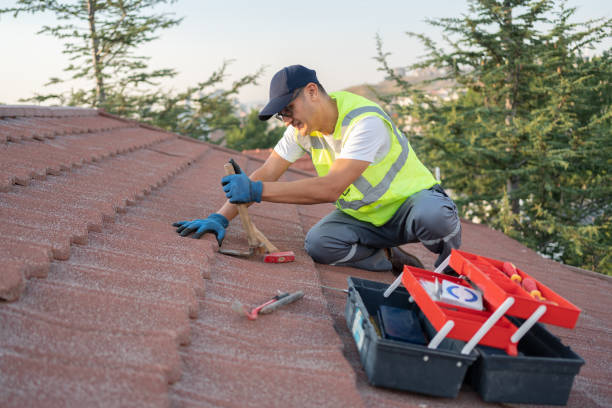 Professional Roofing Contractor in Nicholson, GA