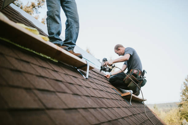 Quick and Trustworthy Emergency Roof Repair Services in Nicholson, GA